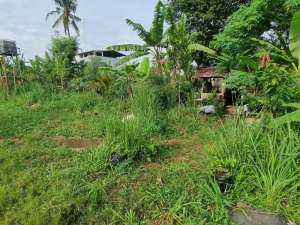 Dijual Tanah Kavling Siap Bangun Lokasi di Gajah Mekar Kutawaringin Bandung lokasi di Bandung Kab., tersedia melalui melalui situs Olx