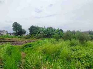 DIJUAL TANAH Kavlingan, Banyuwangi lokasi di Banyuwangi  Kab., tersedia melalui melalui situs Olx