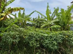 DIJUAL TANAHKAWASAN STRATEGIS BADAK AGUNG, DENPASAR lokasi di Denpasar Kota, tersedia melalui melalui situs Olx