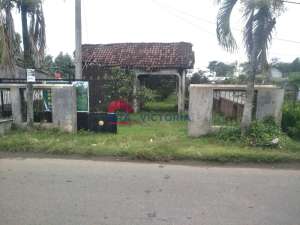 Dijual Tanah Kebun Alpukat dan Jeruk di Ngronggot Kab Nganjuk lokasi di Nganjuk Kab., tersedia melalui melalui situs Olx