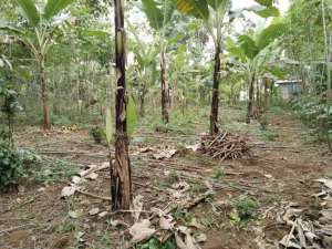 Dijual Tanah KebunBerdamping Dengan Vila Dan Rumah Warga lokasi di Purwakarta Kab., tersedia melalui melalui situs Olx