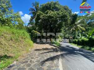 Dijual Tanah Kebun dan Sawah Luas diLicin - Banyuwangi lokasi di Banyuwangi  Kab., tersedia melalui melalui situs Olx