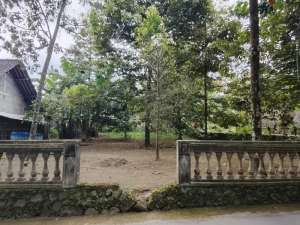 Dijual Tanah Kebun Durian lokasi di Klaten Kab., tersedia melalui melalui situs Olx