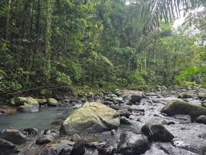 Dijual tanah kebun durian dengan sungai bebatuan di tabanan bali lokasi di Tabanan Kab., tersedia melalui melalui situs Olx