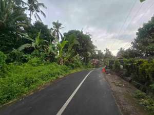 Dijual tanah kebun durian murah dekat villa puri dajuma di tabanan bali lokasi di Tabanan Kab., tersedia melalui melalui situs Olx