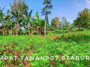 Dijual tanah kebun luas subur pinggir jalan strategis dekat kota lokasi di Sukabumi Kab., tersedia melalui melalui situs Olx