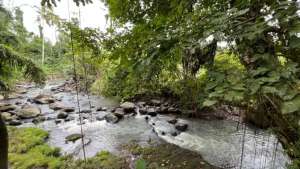 Dijual Tanah Kebun Manggis View Sungai Tabanan Bali lokasi di Tabanan Kab., tersedia melalui melalui situs Olx
