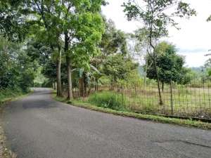 DIJUAL Tanah KebunRumah, Saung, Mushola Dan Di Tanami Durian DLl lokasi di Purwakarta Kab., tersedia melalui melalui situs Olx