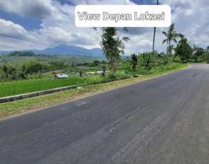 Dijual tanah kebun view sangat indah dan suasana sejuk pegunungan lokasi di Gianyar Kab., tersedia melalui melalui situs Olx
