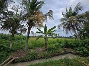 Dijual tanah kecil view jugle dan sungai di tabanan bali lokasi di Tabanan Kab., tersedia melalui melalui situs Olx