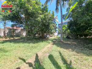 Dijual Tanah Kering Strategis 100 Meter dari Jl. Utama Raden Wijaya lokasi di Banyuwangi  Kab., tersedia melalui melalui situs Olx