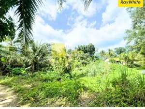 Dijual Tanah Kolam Di Teluk Pandan, Pesawaran KodeYOK 3470 lokasi di Pesawaran Kab., tersedia melalui melalui situs Olx