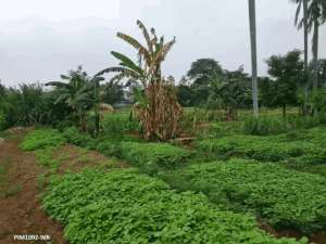 Dijual Tanah Komersil Di Bintaro Sektor 9 lokasi di Tangerang Selatan Kota, tersedia melalui melalui situs Olx