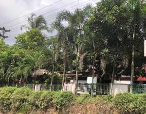 DIJUAL TANAH KONTUR TINGGI JALAN DIPONEGORO SUKAMORO BANYUASIN PALEMBANG lokasi di Palembang Kota, tersedia melalui melalui situs Olx