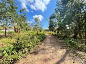 Dijual tanah Kosong lokasi di Kupang Kota, tersedia melalui melalui situs Olx