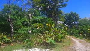 Dijual Tanah Kosong lokasi di Kupang Kota, tersedia melalui melalui situs Olx