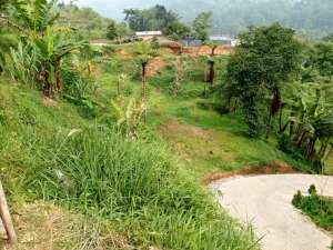 DIJUAL TANAH KOSONG KAWASAN MEGAMENDUNG BOGOR LOKASI MENARIK lokasi di Bogor Kab., tersedia melalui melalui situs Olx