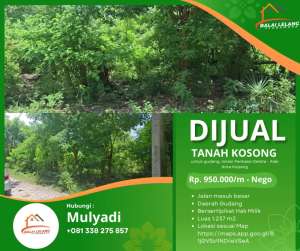 Dijual Tanah kosong untuk Gudang lokasi di Kupang Kota, tersedia melalui melalui situs Olx