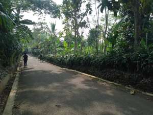 DIJUAL TANAH KWBUN, FULLDATAR GDN LT2HA SHM lokasi di Purwakarta Kab., tersedia melalui melalui situs Olx