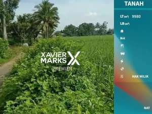 Dijual Tanah Lahan Tebu Di Daerah Ketawang Gondanglegi MalangOLX517 lokasi di Malang Kab., tersedia melalui melalui situs Olx