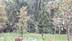 Dijual Tanah Ledug Jalan Raya Tulang Luas 3440 m2 lokasi di Pasuruan Kab., tersedia melalui melalui situs Olx