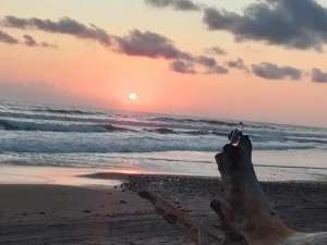 DIJUAL TANAH LOS PANTAI PASUT TABANAN lokasi di Tabanan Kab., tersedia melalui melalui situs Olx