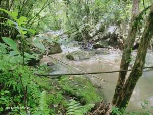 Dijual tanah los sungai indah di bali lokasi di Tabanan Kab., tersedia melalui melalui situs Olx