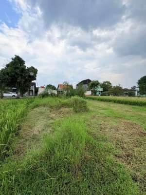 Dijual tanah luas 1.167,5 m2 gajahan, colomadu, solo lokasi di Karanganyar Kab., tersedia melalui melalui situs Olx