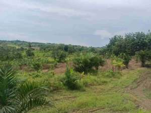 DIJUAL TANAH LUAS 150-200 Ha HARGA SUPER MURAH Rp18.000 perak per M Lokasi Pandeglang - Cibitung Zona Industri Potensial lokasi di Pandeglang Kab., tersedia melalui melalui situs Olx