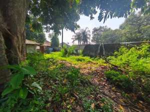 Dijual Tanah Luas 2500 M Jl. Kebagusan Jakarta Selatan lokasi di Jakarta Selatan, tersedia melalui melalui situs Olx