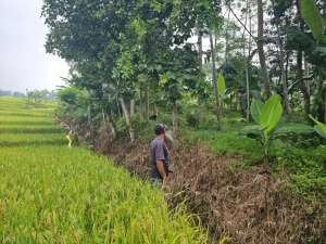 Dijual tanah luas 500 m2 sangat cocok untuk rumah kebun atau villa lokasi di Bogor Kab., tersedia melalui melalui situs Olx