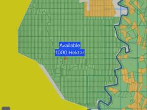 DIJUAL TANAH LUAS BERAU lokasi di Berau Kab., tersedia melalui melalui situs Olx
