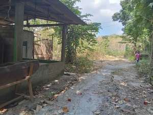 Dijual tanah Luas dekat bakal kampus UIN Bantul Yogyakarta, LT 5700m2 lokasi di Bantul Kab., tersedia melalui melalui situs Olx