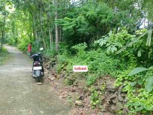 Dijual Tanah Luas Murah di Srikayangan Sentolo Kulonprogo lokasi di Bantul Kab., tersedia melalui melalui situs Olx