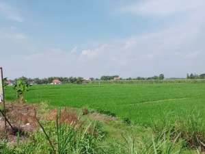 Dijual Tanah Luas Pinggir Jalan Raya Area Sudirman Madiun lokasi di Madiun Kab., tersedia melalui melalui situs Olx