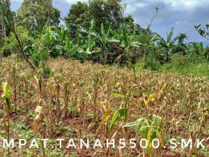 Dijual tanah luas subur asri akses mudah berkembang pinggir jalan kota dekat lokasi di Sukabumi Kab., tersedia melalui melalui situs Olx