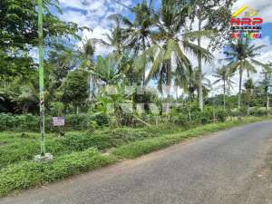 Dijual tanah murah 100 jutaan dekat stasiun Banyuwangi kota lokasi di Banyuwangi  Kab., tersedia melalui melalui situs Olx