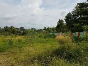 dijual tanahmurahcocok buat pabrik atow gudang lokasi di Serang Kab., tersedia melalui melalui situs Olx