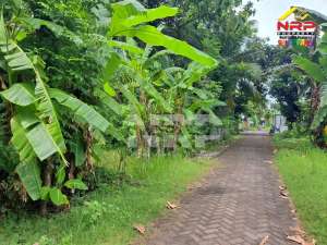 Dijual Tanah Murah 20 Meter dari Jl. Lingkar Ketapang - Banyuwangi lokasi di Banyuwangi  Kab., tersedia melalui melalui situs Olx