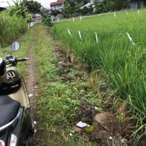 Dijual Tanah Murah Daerah Masih Asri di Sunggal Deli Serdang lokasi di Deli Serdang Kab., tersedia melalui melalui situs Olx