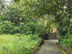 Dijual tanah murah dekat villa kusfam bali ditabanan bali lokasi di Tabanan Kab., tersedia melalui melalui situs Olx