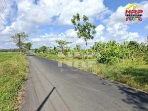 Dijual Tanah Murah di Tepi Jalan Pondoknongko, Kabat - Banyuwangi lokasi di Banyuwangi  Kab., tersedia melalui melalui situs Olx