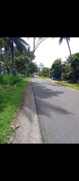 Dijual tanah murah di Yogyakarta lokasi di Kulon Progo Kab., tersedia melalui melalui situs Olx