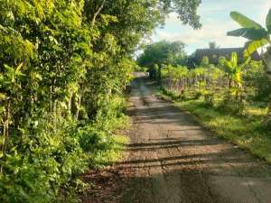 DIJUAL TANAH MURAH KALIORI KALIBAGOR DEKET SMK lokasi di Banyumas Kab., tersedia melalui melalui situs Olx