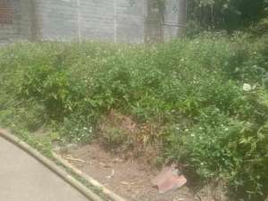 Dijual Tanah Murah Lokasi Noborejo Salatiga lokasi di Salatiga Kota, tersedia melalui melalui situs Olx