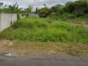 DIJUAL TANAH MURAH PERUM MOJOPAHIT JEMBER lokasi di Jember Kab., tersedia melalui melalui situs Olx