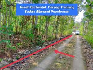 Dijual tanah murah utara kota Wonosari di Bejiharjo Gunung Kidul lokasi di Gunung Kidul Kab., tersedia melalui melalui situs Olx