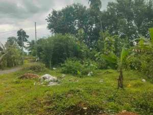 DIJUAL TANAH MURAH WIRADADI SOKARAJA PURWOKERTO lokasi di Banyumas Kab., tersedia melalui melalui situs Olx