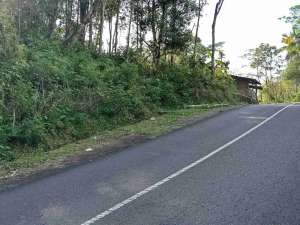 dijual tanah murah,pinggir jalan raya,view istimewa. lokasi di Purworejo Kab., tersedia melalui melalui situs Olx