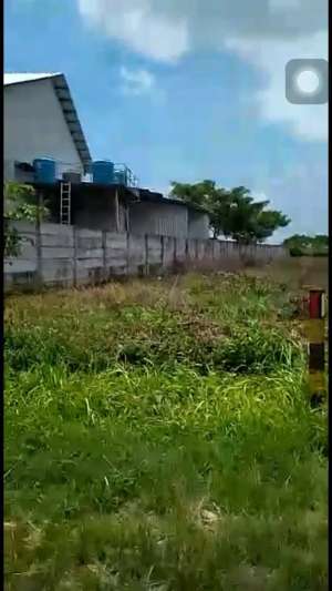 DIJUAL TANAH NASIONAL MRUTUK UTARA WIDANG TUBAN RON.A2092 lokasi di Tuban Kab., tersedia melalui melalui situs Olx